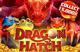 Dragon Hatch